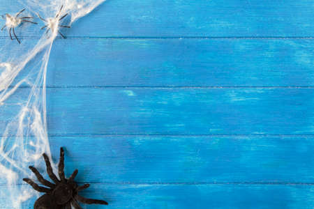 Top view of spider web and spiders on bue wooden table with copy space. Halloween backgroundの写真素材
