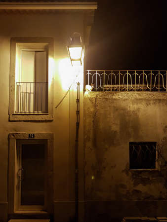 House, street lamp and stray cat at nightの写真素材