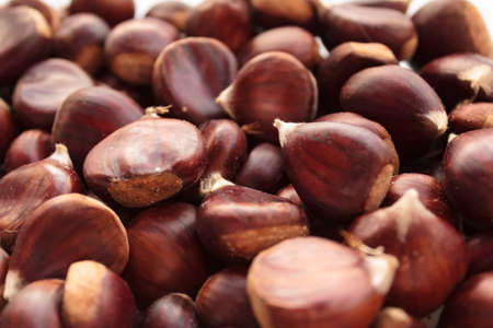 Close-up of group of raw chestnutsの写真素材