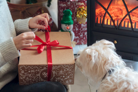 Woman unwrapping gift box next to Christmas treeの写真素材