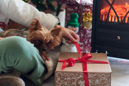 Woman with yorkshire terrier dog on her lap with gift box on Christmas morningの写真素材