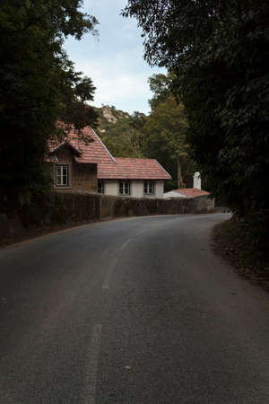 Empty road with cute house and trees on both sideの写真素材