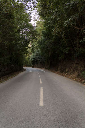 Direction arrows on empty asphalt roadの写真素材