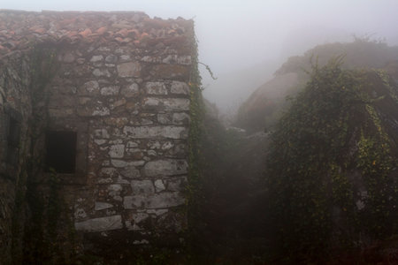Old rural house and rocks with climbing ivy on foggy dayの写真素材