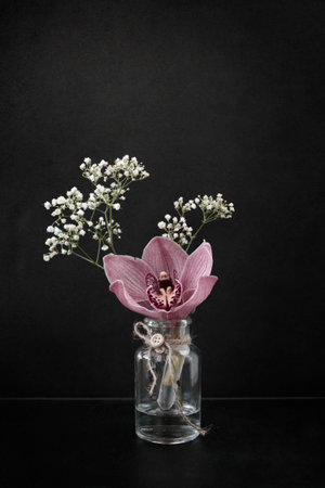 Pink Phalaenopsis Orchid on glass jar against black backgroundの写真素材