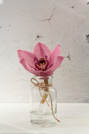 Pink orchid flower on glass jarの写真素材