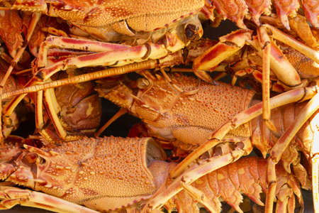 Full frame of lobsters for saleの写真素材