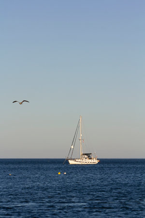 Fishing boat at sea and flying seagullの写真素材