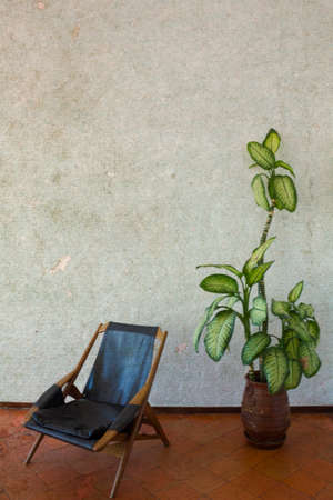 Vertical shot of chair and pot with plant. With aged effectの写真素材