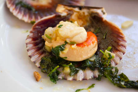 Variegated scallop ready to eatの写真素材