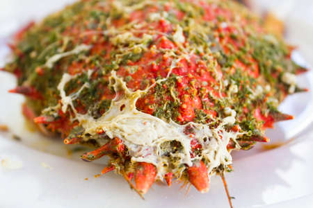 Spider crab shellの写真素材