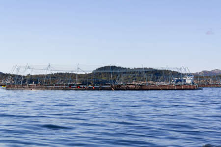 Fish farming in Norway seaの写真素材