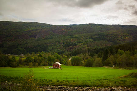 Norwegian colorful wooden house in the middle of green meadowの写真素材