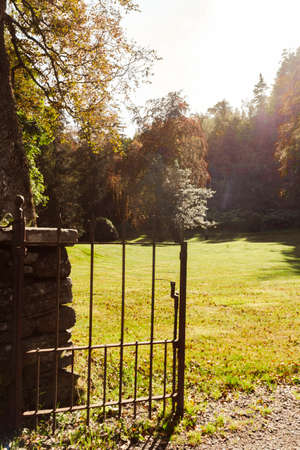 Open gate in a park on a sunny afternoonの写真素材