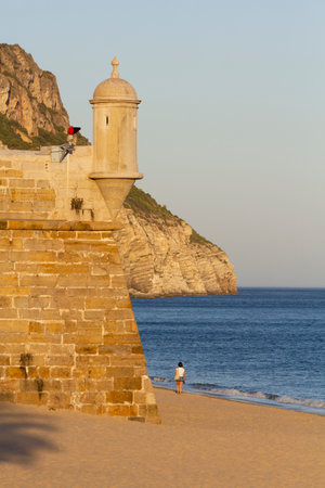 Old fortress on beach. Vertical shotのeditorial素材