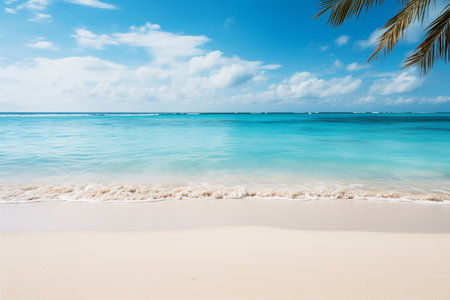 Paradisiacal tropical beach backgroundの素材