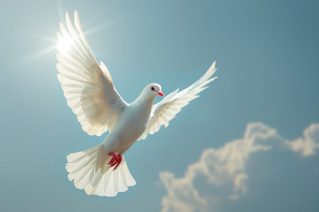 White dove flying in the blue sky. Freedom and peace conceptの素材