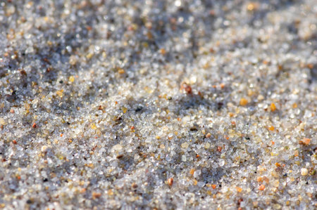 Natural pebbly sandy beach in Lithuaniaの写真素材