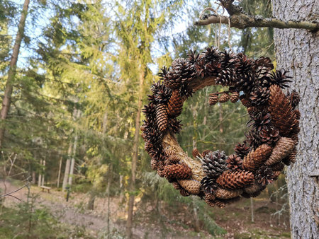 A crown from the cones of coniferous trees