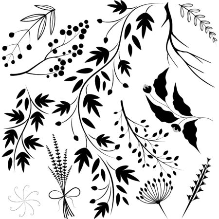 a set of twigsのイラスト素材