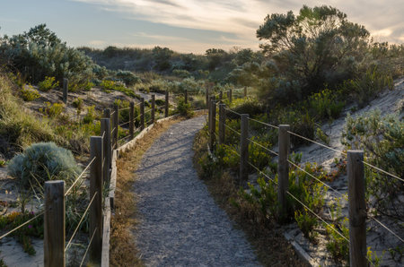 Fenced walkway through sand dunes at sunset