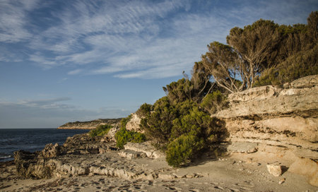 Erroded textured coastal cliffs with bush and cloudsの写真素材