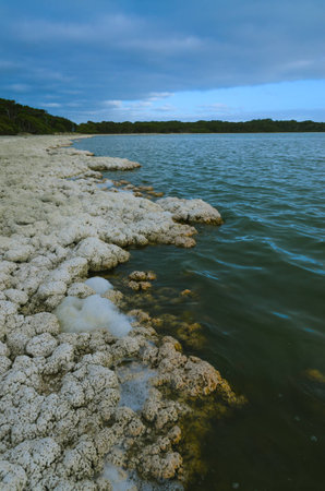 Salt mineral geologic lake waterfront lineの写真素材