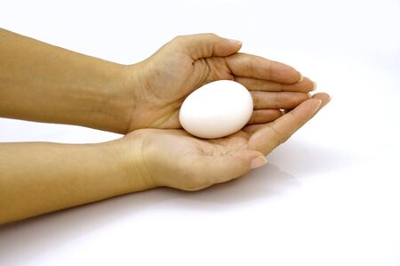 Isolated hands holding white eggの写真素材