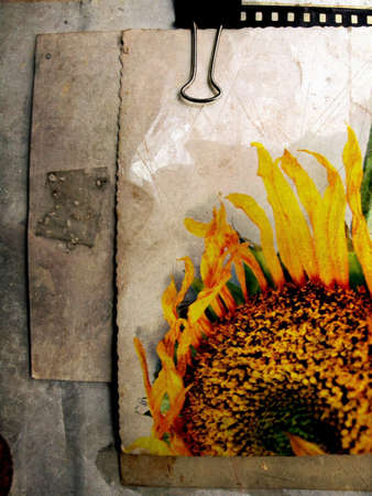Grunge background with sunflower - vintage sepia paper textureの写真素材