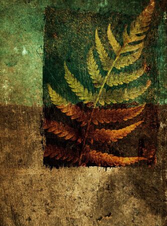 Fern leaf in grunge abstract backgroundの写真素材