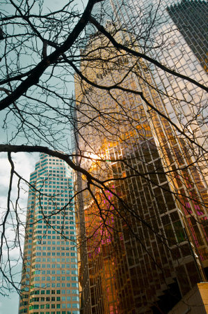 Buildings in financial district in downtown Toronto, Canada.の写真素材