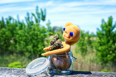 Detail of dried cannabis buds (Purple Alien Strain) with toy and jar- medical marijuana concept backgroundの写真素材