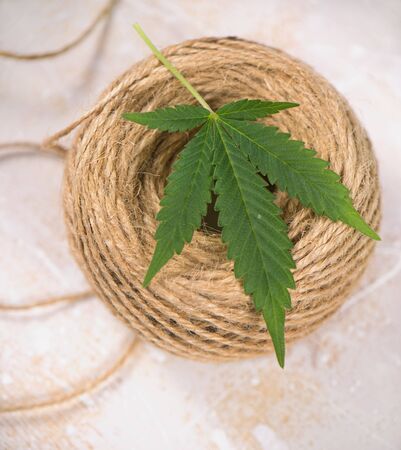Macro detail of hemp fiber twine and cannabis leaf - marijuana farming conceptの写真素材