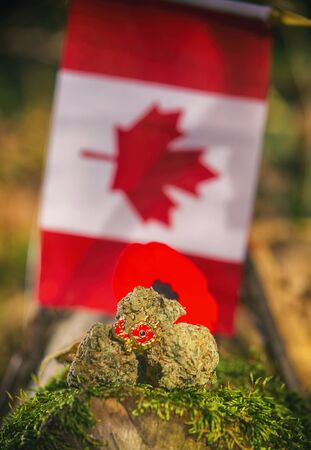 Detail of cannabis buds arranged in front of a Canadian flag - medical marijuana conceptの写真素材