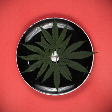 Detail of multiple cannabis leaf on a dish isolated - medical marijuana infused edibles conceptの写真素材