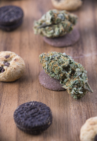 Background with cannabis nugs (forum cut cookies strain) over infused chocolate chips cookies - medical marijuana edibles conceptの写真素材