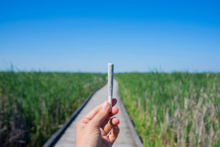 Hand holding a cannabis joint against trail and blue sky landscape - medical marijuana concept