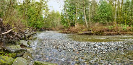 Panoramic view of rain forest at Holland Creek trail in Ladysmith, Vancouver Island, British Columbia, Canadaの写真素材