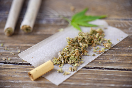 Cannabis joints with rolling paper over wood background - medical marijuana conceptの写真素材