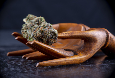 Close up of wood hands holding a cannabis nug isolated over black background, medical marijuana conceptの写真素材