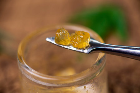 Macro detail of cannabis concentrate live resin extracted from medical marijuana on a dabbing tool
