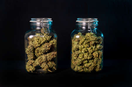 Dried cannabis buds stored in a glass jar isolated over black backgroundの写真素材