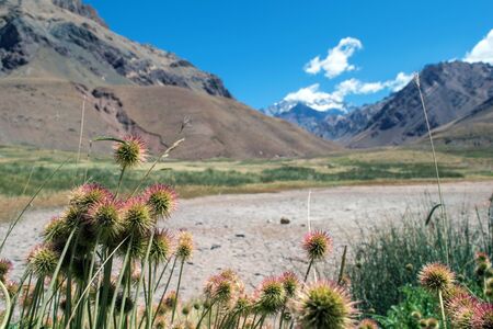 Aconcagua view from the valley belowの写真素材