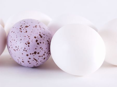 A purple speckled egg among several white eggs. On white.の写真素材