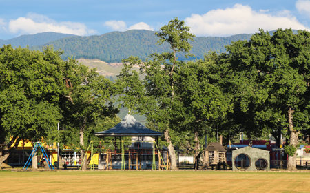 Wonderful play park under some trees.の写真素材