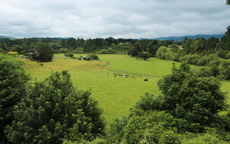 Rich green farmland in a valley.の写真素材