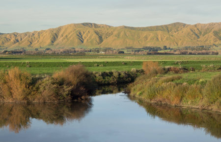 This is one of many streams that flow into the mighty Manautu River. This stream flow water down...
