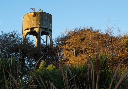 Old water tower in the bush. This water tower use to be for steam trains when they were in Foxton.の写真素材