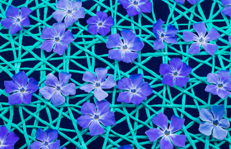 Blue flowers on a green string net.の写真素材