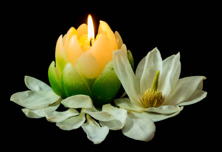 Candle in the shape of a Magnolia flower with a real flower next to it.の写真素材